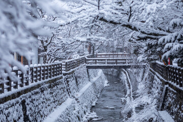 飛騨高山 雪の江名子川