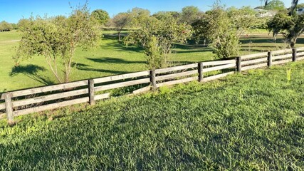 fence and grass