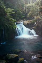 Fototapeta premium 菊池渓谷