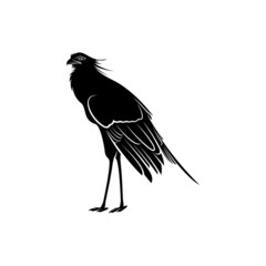 Secretary bird silhouette vector illustration design. Creative design abstract