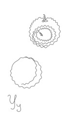 One line yangmei vector illustration. Fruit and berry set. Minimalistic juicy asian bayberry. continuous line hand drawn isolated object look like a litchi	 - obrazy, fototapety, plakaty