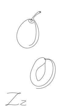 One line plum fruit. Zwetschge. Vector plum illustration. Fruit and berry set. Linear art. hand drawn isolated prune object