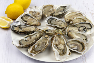 oyster platter covered with lemon on a white background