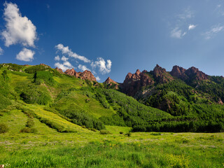 Lush green grasses and wildflowers growing at the foot of the foothills of the colorful red...
