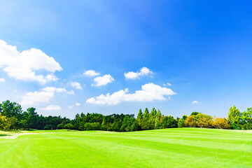 Fairway of Japanese golf course
