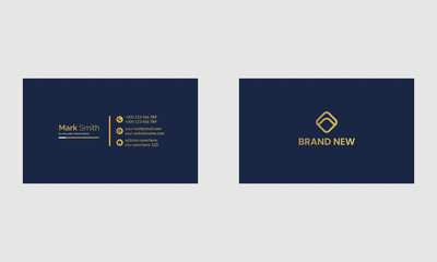 Professional Business Card Template