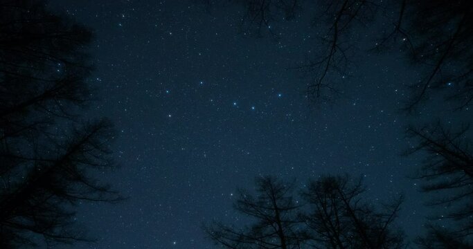 北斗七星zi_2