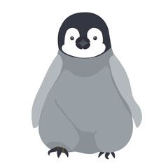 エンペラーペンギン　コウテイペンギン　かわいい雛　赤ちゃん