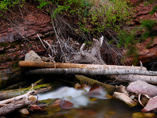 Obraz premium Red sandstone and clay banks line a fast flowing and log stew brook in the Colorado Rocky Mountains