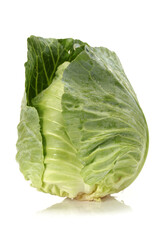 Fototapeta premium cabbage isolated on white background