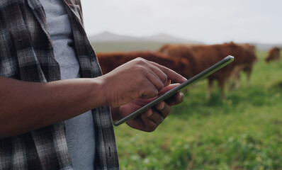 Agricultural management gets an upgrade. Shot of an unrecognisable man using a digital tablet while working on a cow farm.