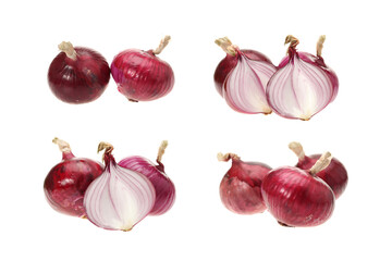 set of onion on white.