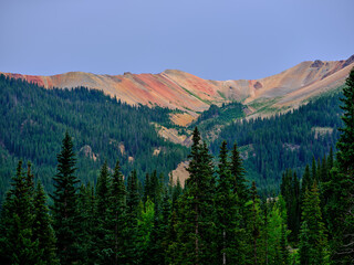 The beautiful red and orange hues on a mountain top with the deep green pine trees in the Colorado Mountains