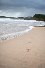 Fototapeta na wymiar dogs footprints on sand and waves on the beach