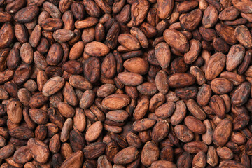 Flat lay of Cocoa beans texture background.