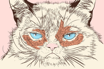 Abstract, minimalist portrait of a cat. Vector illustration in a flat style.
