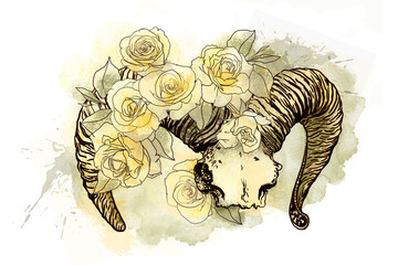 Ram skull in roses. Mystical, magical illustration in boho style.
