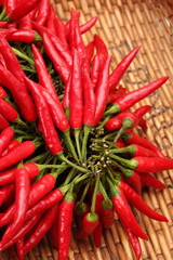 Red Hot Chili on white background