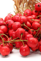 Hawthorn on white background 