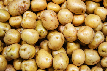 Harvest of potatoes. Trade in vegetables wholesale and retail. Flat lay frame. Close-up