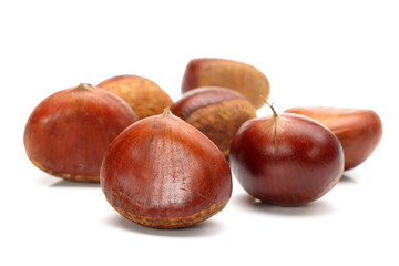 Sweet chestnut on white background