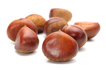 Sweet chestnut on white background