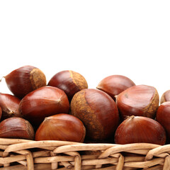 Sweet chestnut on white background