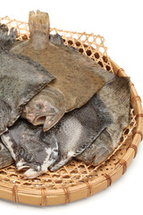 Obraz premium Turbot fish on white background