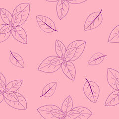 basil leaves seamless pattern. spicy herbs vector illustration hand drawn in doodle line art style.