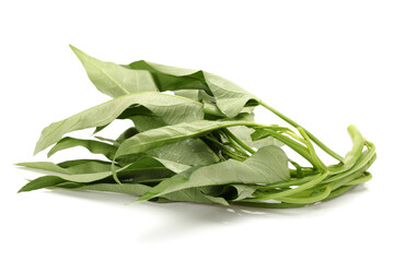 Water spinach on white background