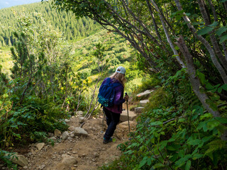 Naklejka na ściany i meble Woman with backpack and sticks tackling the steep and extremely rugged descent from top of the mountain of the Chornogora ridge. View near the highest Ukrainian Carpathian mount Hoverla Ukraine