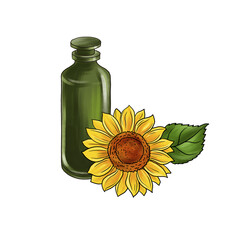 drawing sunflower oil, glass bottle and flower, hand drawn illustration