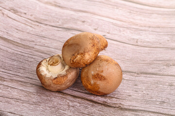 Raw brown champignons mushroom heap