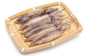 Fresh squid isolated on white background 