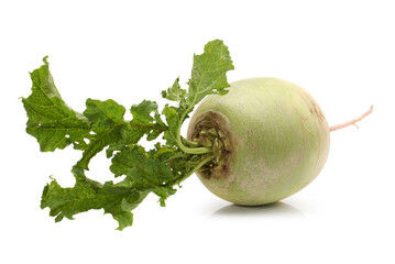 fresh radish isolated on white background 