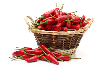 Red Hot Chili on white background