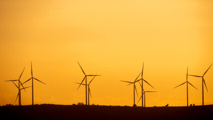 Silhouette Wind Turbines Standing on Top of The Mountain