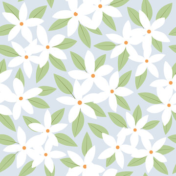 Seamless floral patternof  white jasmine flower with green leaf on soft blue background vector.