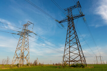 power lines in the spring in a green wheat field