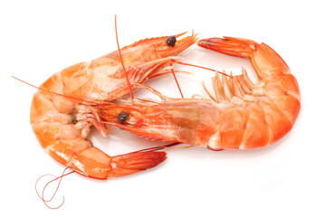 boiled shrimp  on white background