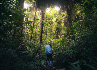 solo hiker standing in tropical rainforest, next to tent, looking at the view while camping. Traveling and camping concept.  camping in the deep Tropicana rain forest. live with the nature concept.