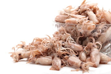 Small Freshly Steamed Squids On White background
