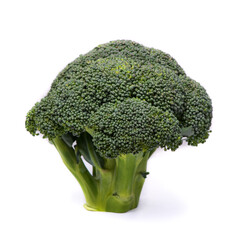 Green broccoli isolated
