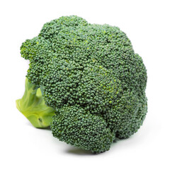 Green tasty broccoli isolated