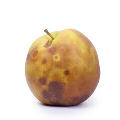 Yellow rotten apple isolated