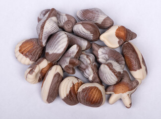 Group of seashell chocolate bar