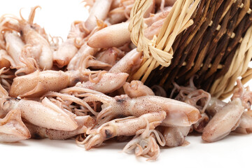 Small Freshly Steamed Squids On White background