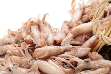 Small Freshly Steamed Squids On White background