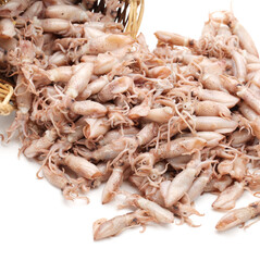 Small Freshly Steamed Squids On White background