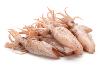Small Freshly Steamed Squids On White background